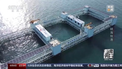 耕海牧漁 深遠(yuǎn)海海水養(yǎng)殖技術(shù)的探索與研發(fā)