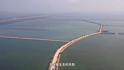 刺參工業(yè)化養(yǎng)殖技術研發(fā) 突破種業(yè)‘卡脖子’難題，推動海水養(yǎng)殖創(chuàng)新發(fā)展