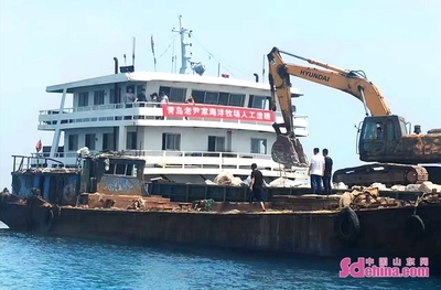 老尹家海參 國(guó)家級(jí)海洋牧場(chǎng)的“青島樣板”與海水養(yǎng)殖技術(shù)研發(fā)新篇章