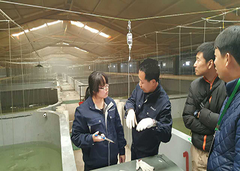 我國海水養(yǎng)殖技術(shù)新突破 告別'嗑藥'魚，首個海水魚活疫苗投產(chǎn)應用