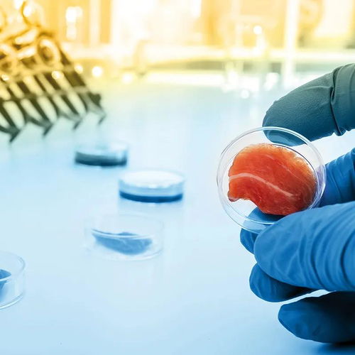 凱愛瑞發(fā)布2022全球風(fēng)味圖譜，帝斯曼成立新食品飲料事業(yè)部——有料Weekly技術(shù)交流